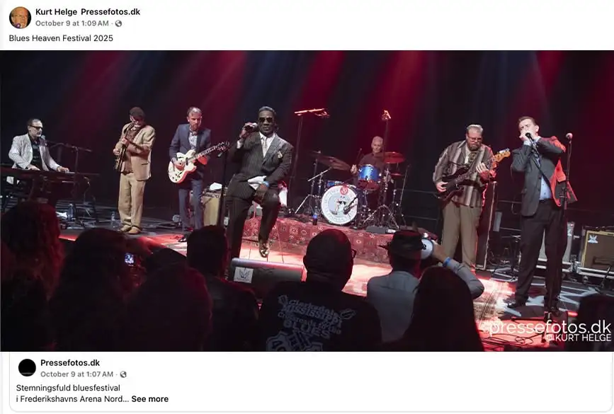 Festival anmeldelse - Pressefotos.dk